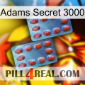 Adams Secret 3000 05